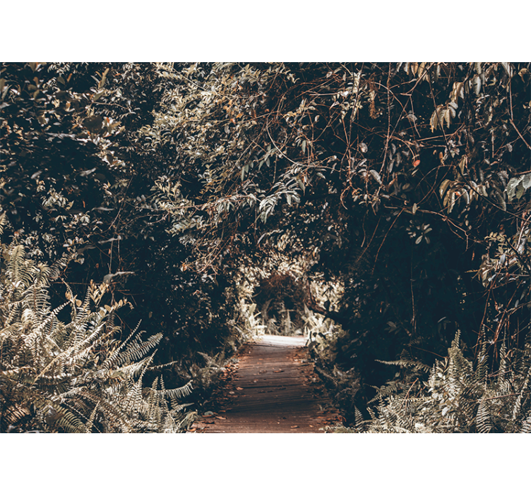 Wall mural nature forest trail path - TenStickers