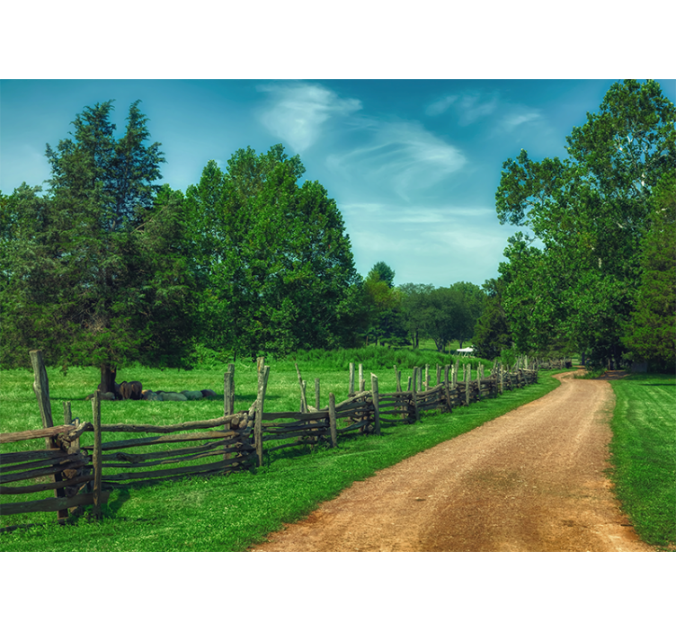 Summer green trees  Forest Wall Mural - TenStickers