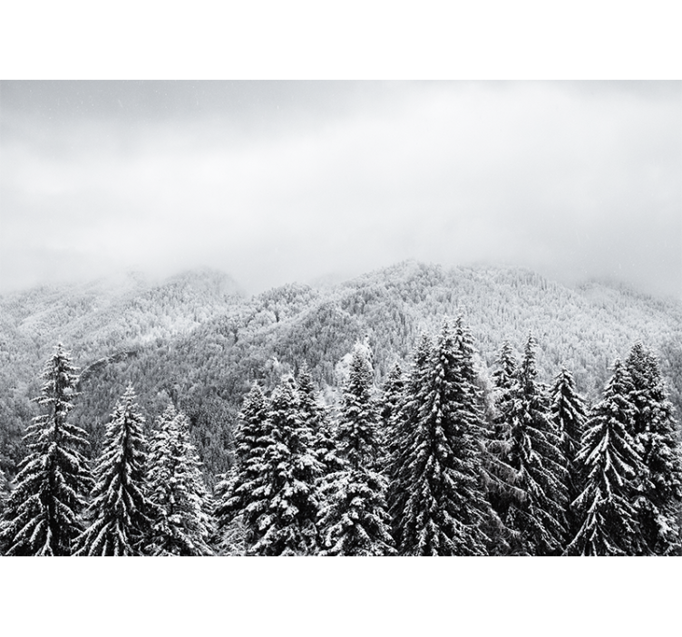 Snowy forest with pine tree Mountain wall mural - TenStickers