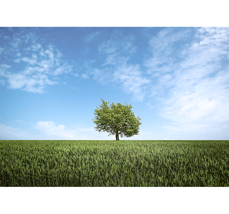 Plain green fields and tree nature wall mural - TenStickers