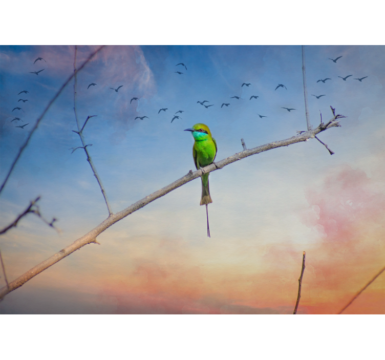Animals wall mural bird on branch design - TenStickers