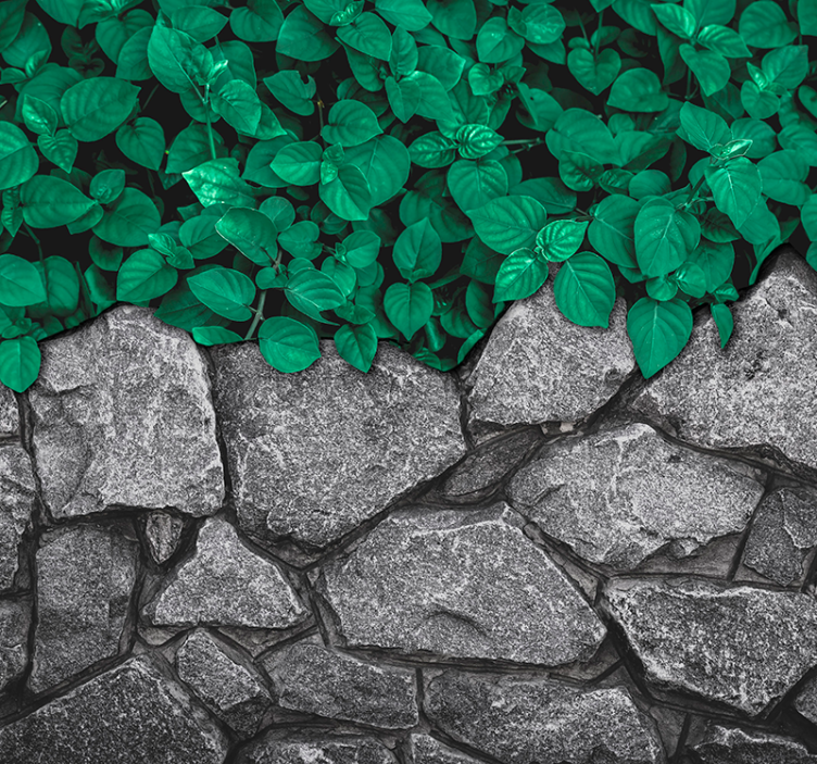 Lush Greenery Contrast wall mural nature - TenStickers