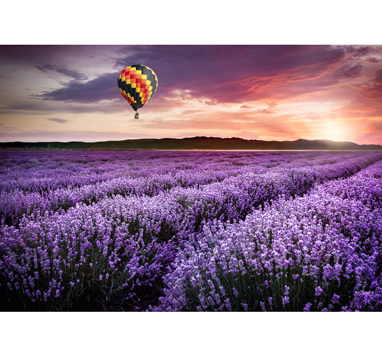 Lavender Hot Air Baloon nature wall mural - TenStickers
