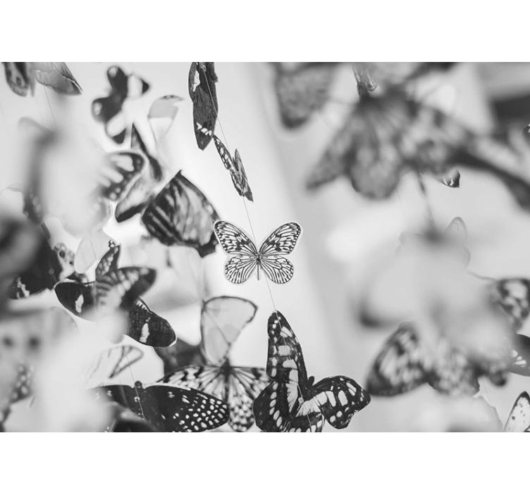 Butterflies gray scale wall mural - TenStickers