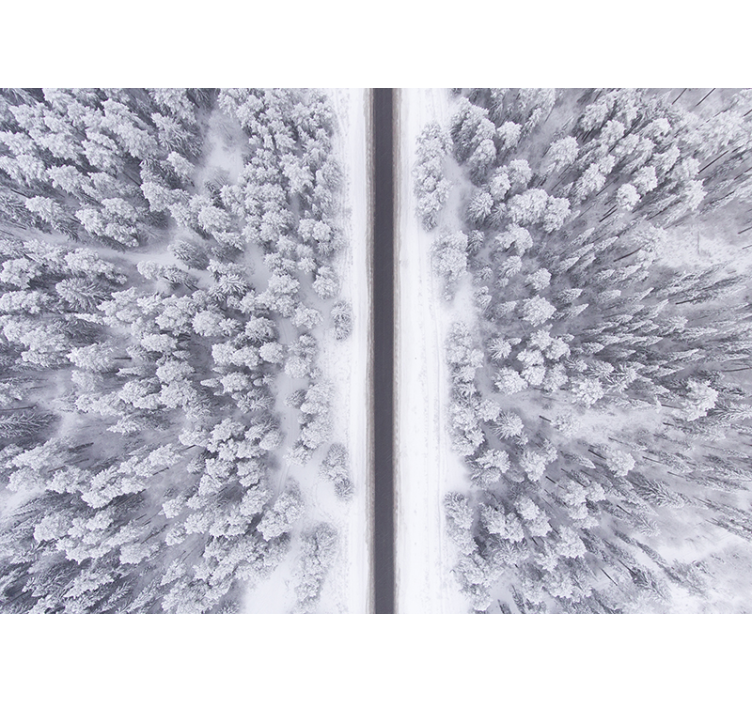 Road through snowy forest landscape wall mural - TenStickers