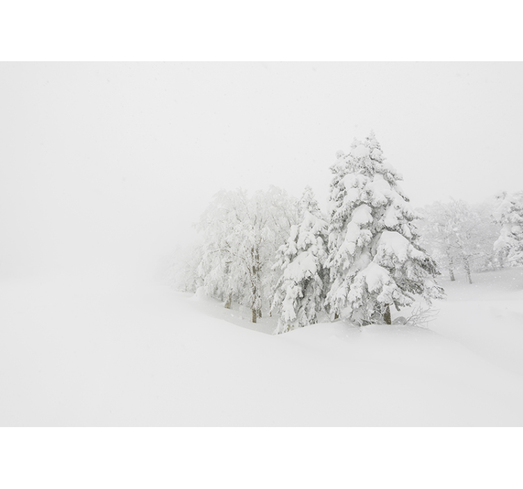 Winter storm and tree Forest Wall Mural - TenStickers