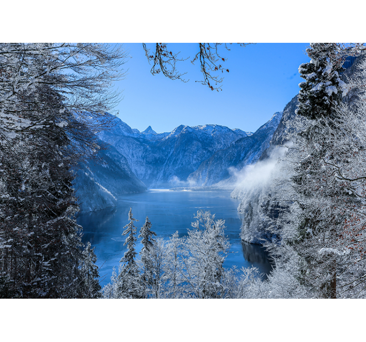 Frosted lake and forest photo wall mural - TenStickers
