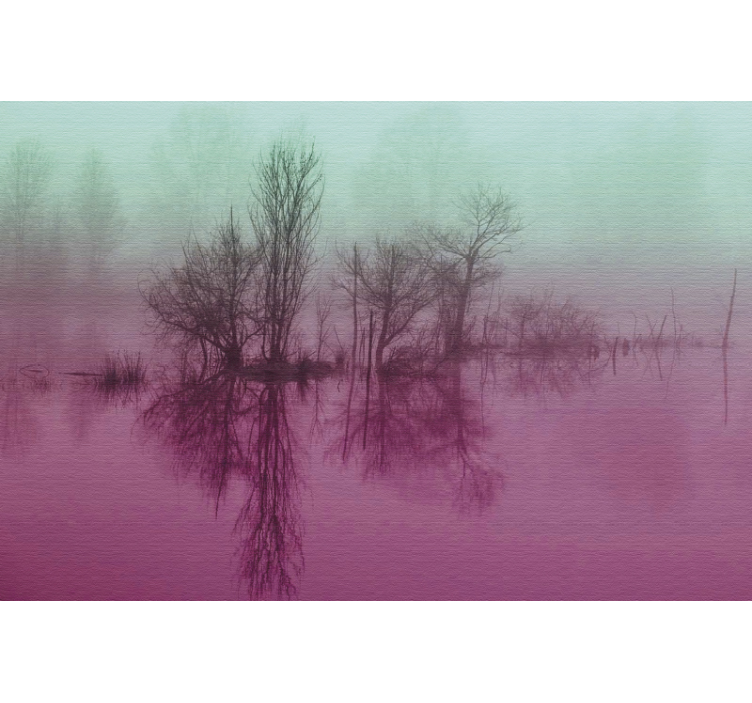 Morning fog sunrise wall mural lake wall mural - TenStickers