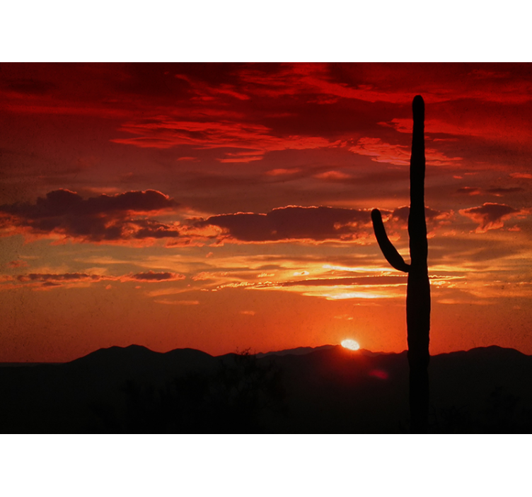 Red sky with sunset and cactus wall mural - TenStickers