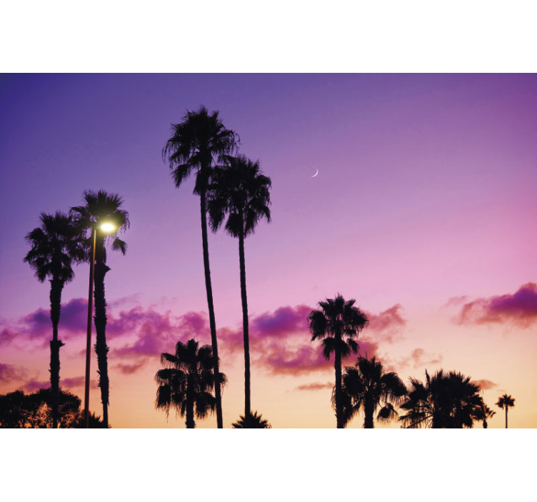 Palm tree and purple sky wall mural - TenStickers