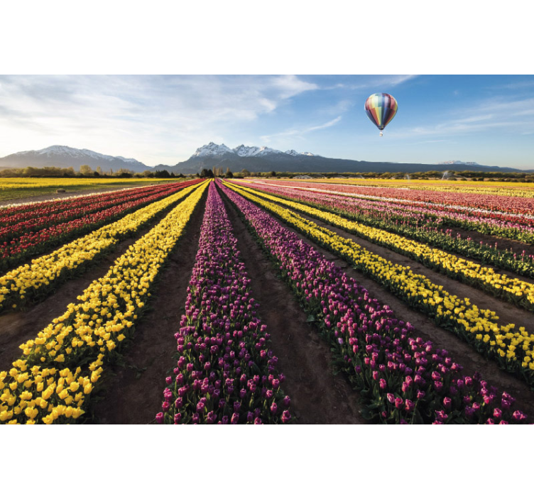 Air balloon over tulips tulip wall mural - TenStickers