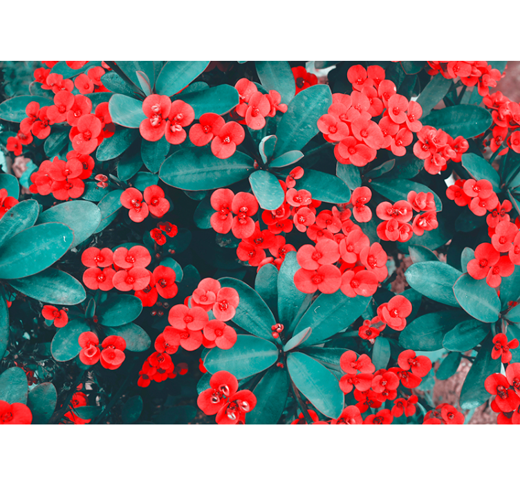 Red big flowers Wall mural - TenStickers