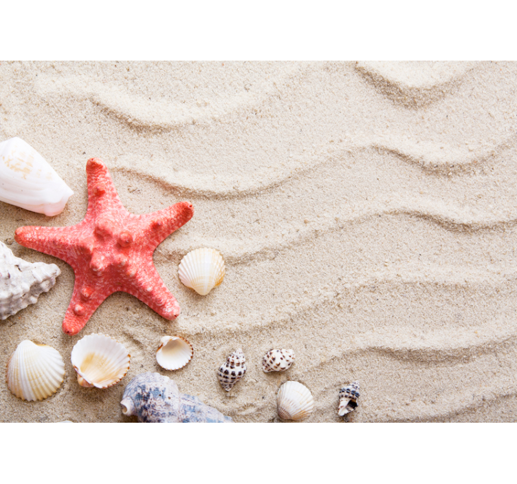 Starfish and Shells under the sea wall mural - TenStickers