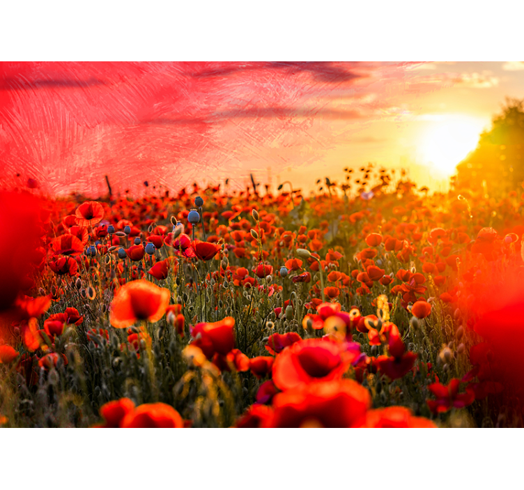 Poppy Meadow Twilight poppy wall mural - TenStickers