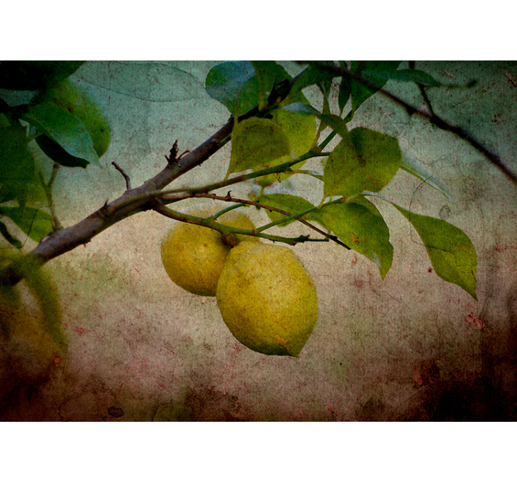 Wall mural nature lemon branch detail - TenStickers
