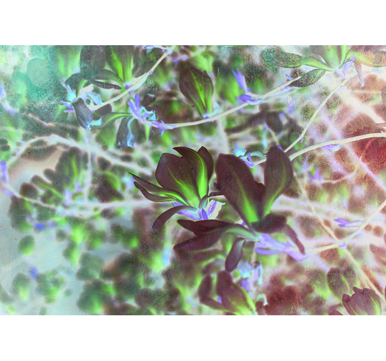 Pink flower tree Magnolia Wall Mural - TenStickers