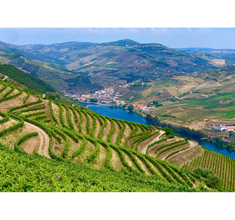 Douro Harvesting Mountain wall mural - TenStickers
