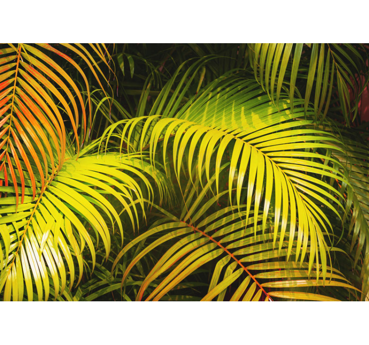 Colorful and tropical leaves  nature wall mural - TenStickers