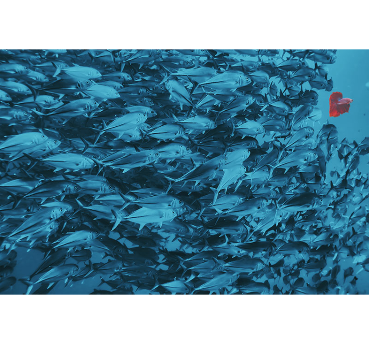 Animals wall mural underwater fish school - TenStickers