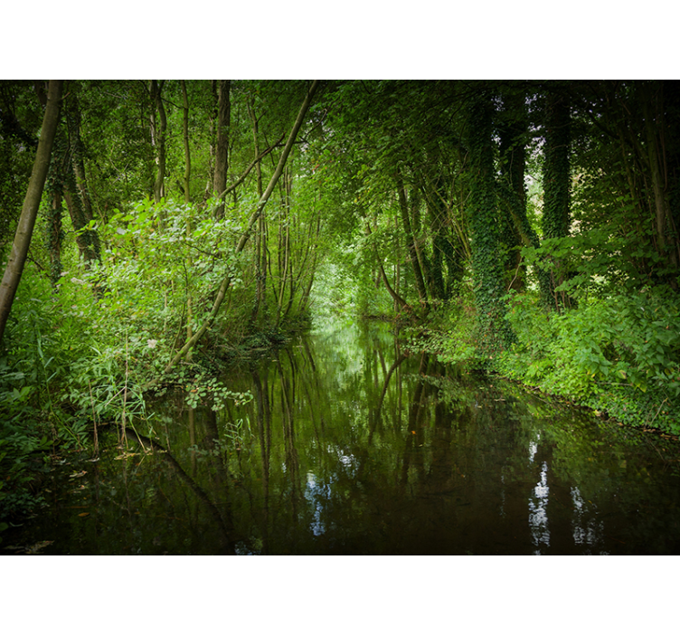 Dutch woods with river nature wall mural - TenStickers