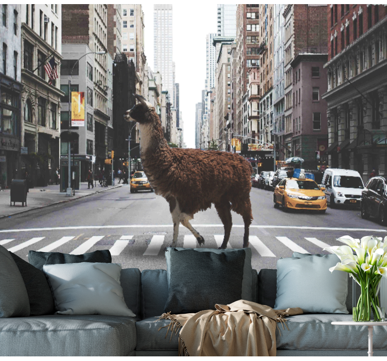 A lama in New York wall mural - TenStickers