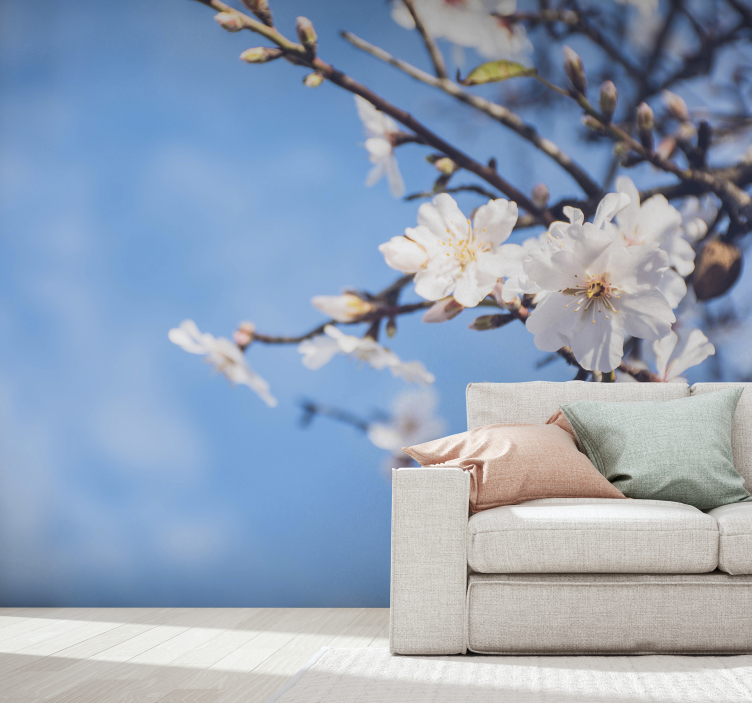 Almond Tree wall photo mural - TenStickers