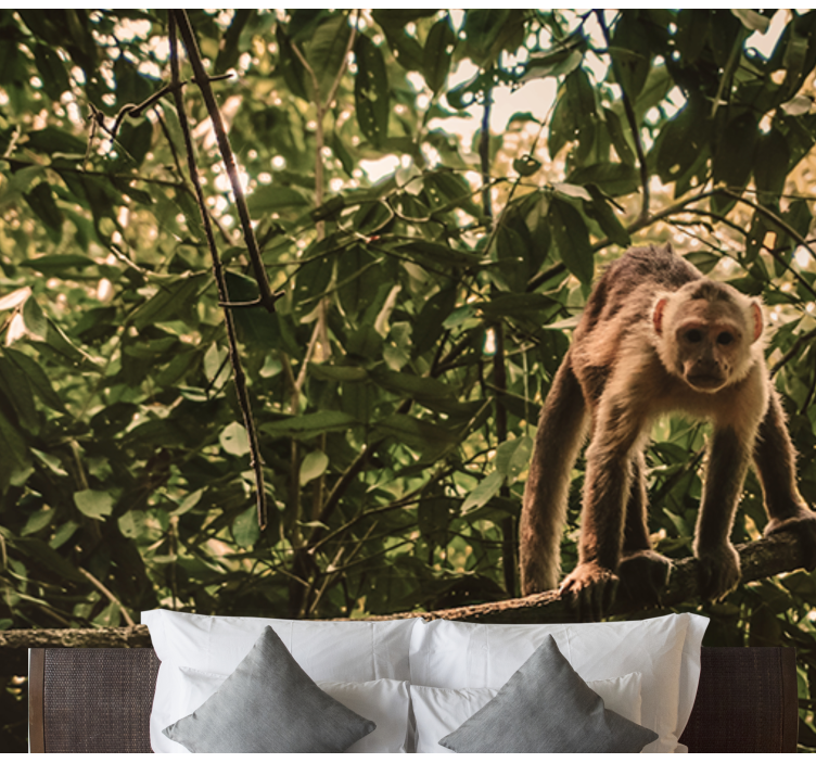 Amazonian monkeys wall mural - TenStickers