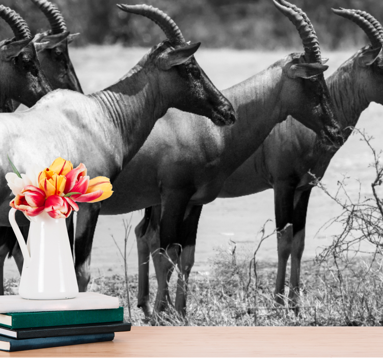 Animals wall mural african antelope herd - TenStickers