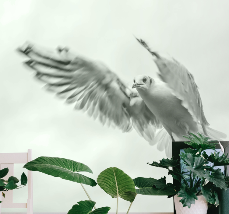 Animals wall mural flying white bird - TenStickers