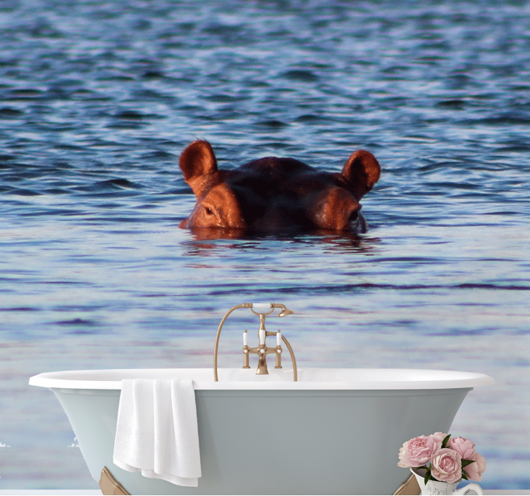 Animals wall mural hippo swimming calmly - TenStickers