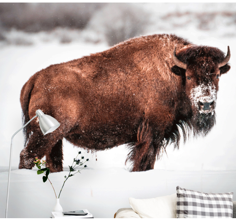 Animals wall mural majestic bison stance - TenStickers