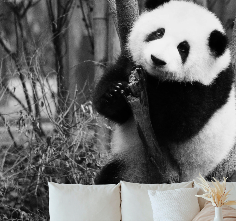 Animals wall mural panda in a tree - TenStickers