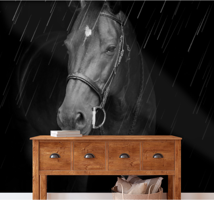 Animals wall mural regal equine portrait - TenStickers