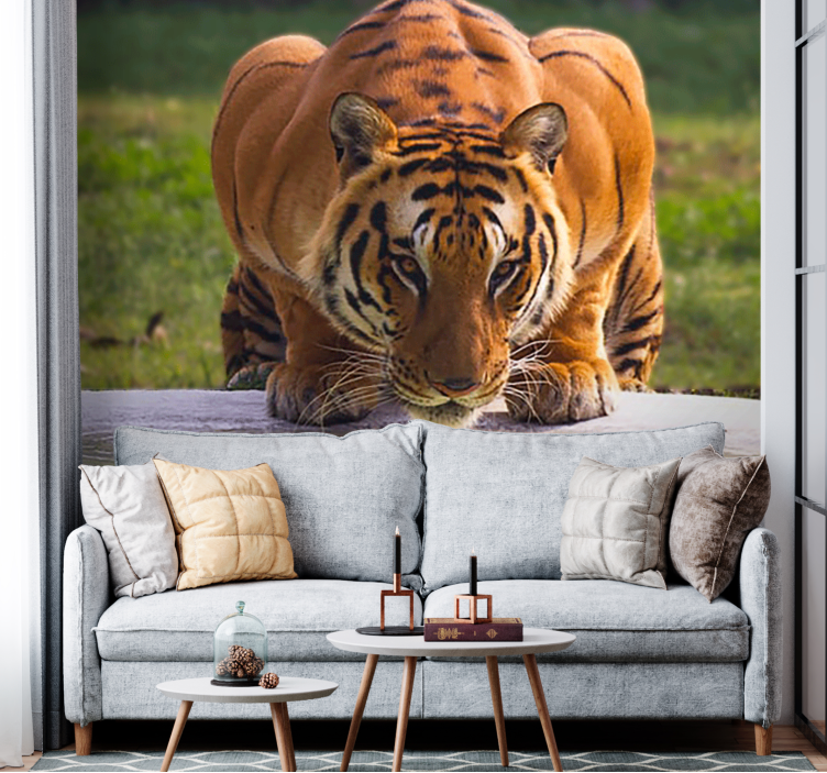 Animals wall mural regal tiger pose - TenStickers