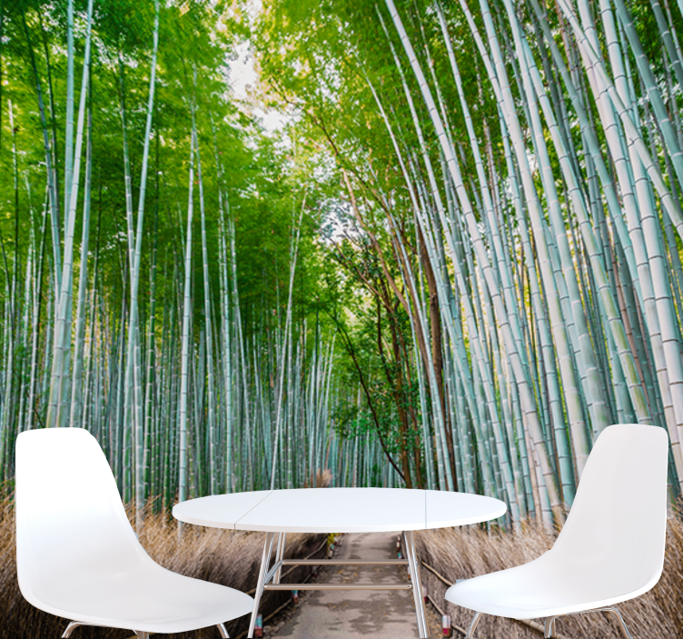Bamboo path green tree mural - TenStickers