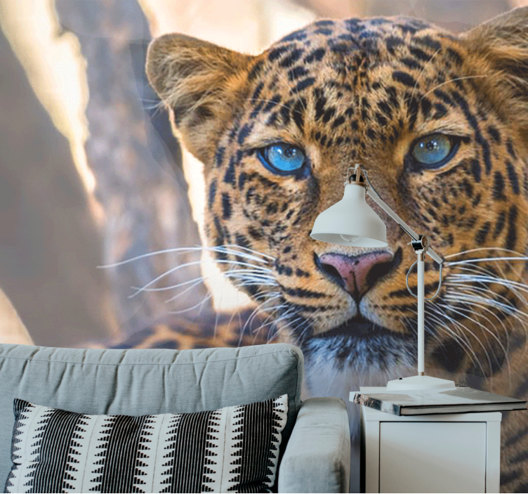 Beautiful female tiger watching you wall mural - TenStickers