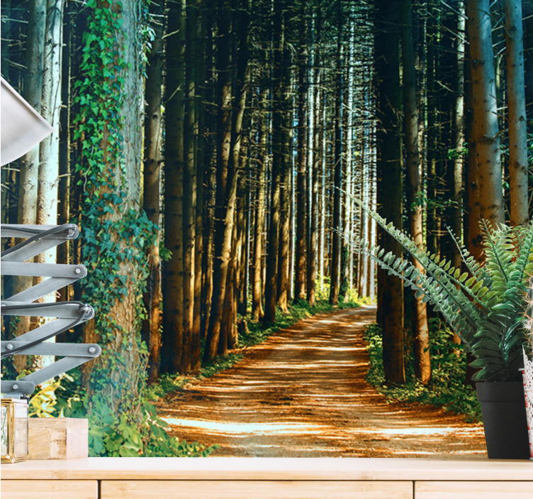 Beautiful nature path tree mural - TenStickers