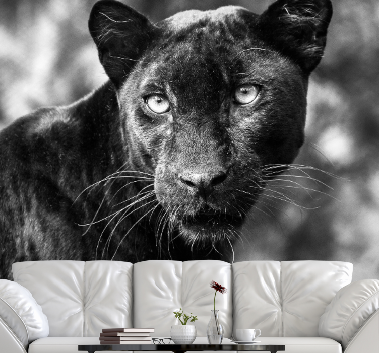 Beautiful Panter Black africa wall mural - TenStickers