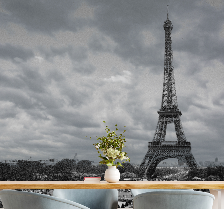 Black and white Paris city wall mural - TenStickers