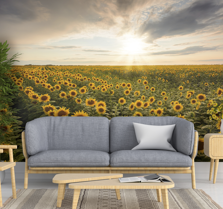 Endless field of blooming sunflowers wall mural - TenStickers
