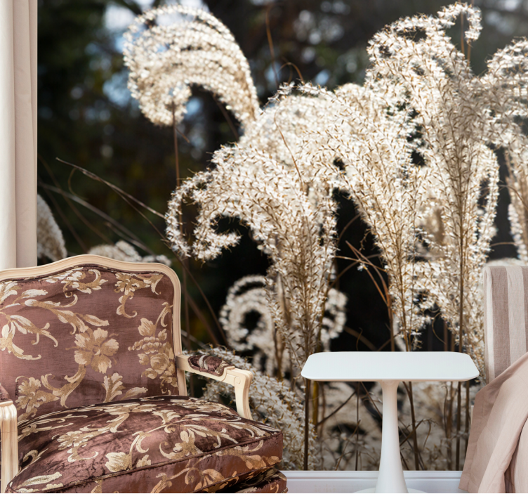 Flower wall mural elegant pampas grass - TenStickers