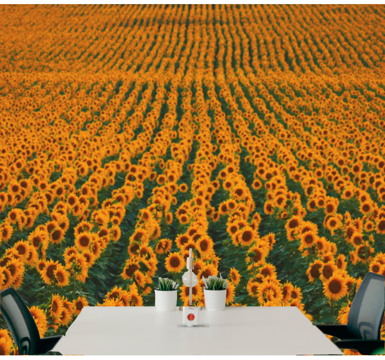 Flower wall mural sunflower field - TenStickers