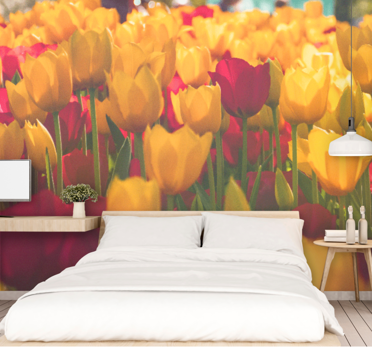 Flower wall mural tulip blossom meadows - TenStickers