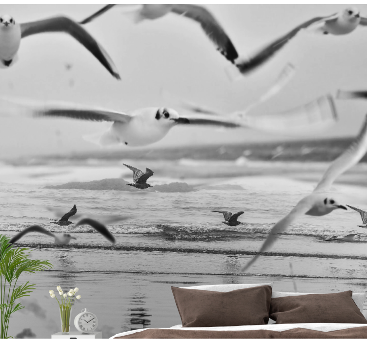 Flying seagulls on the beach wall mural - TenStickers