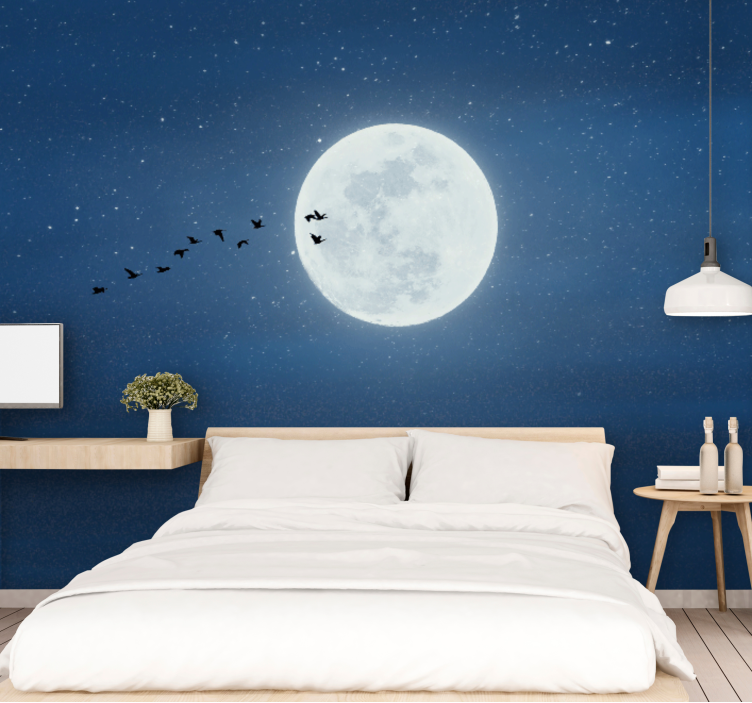 Full Moon and sky 3D wall mural - TenStickers