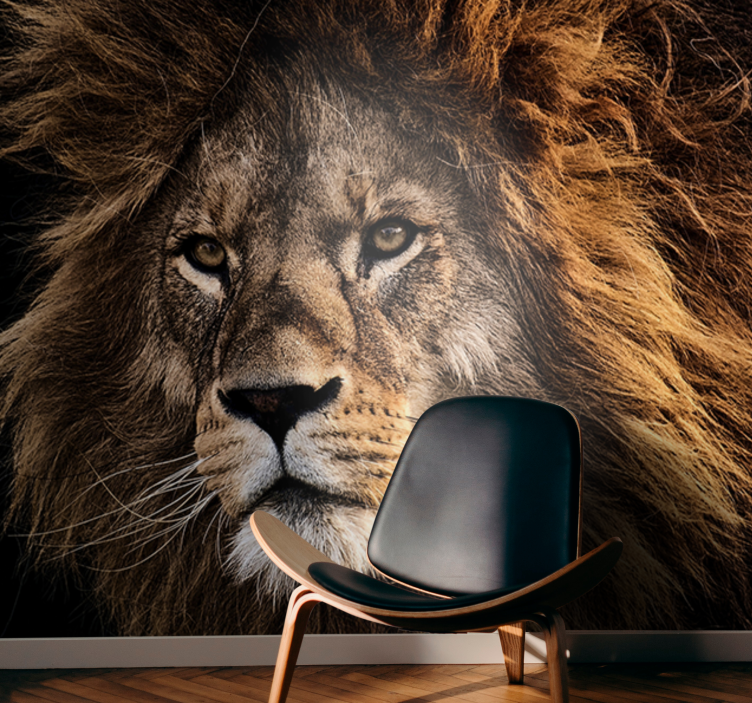 Huge realistic lion face lion wall mural - TenStickers