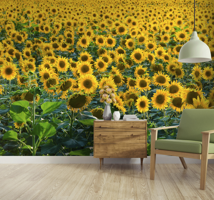 Huge sunflower field wall mural - TenStickers