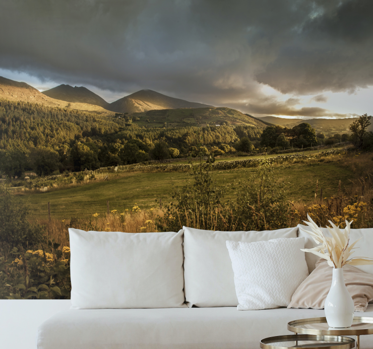 Irish countryside. nature wall mural - TenStickers