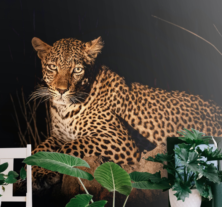 Leopard in Spotlight animals wall mural - TenStickers