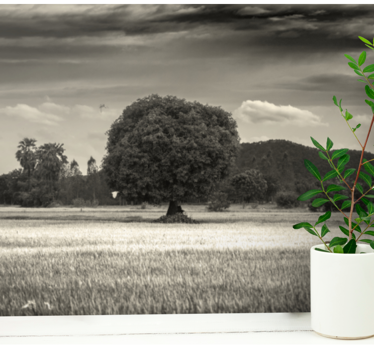 Lone Tree Landscape wall mural trees - TenStickers